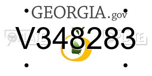 V348283 Georgia License Plate