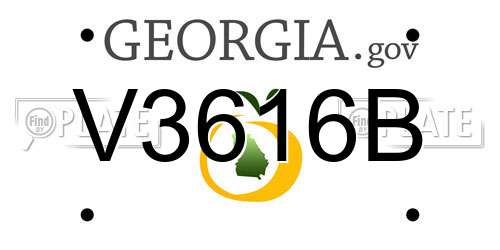 V3616B Georgia License Plate