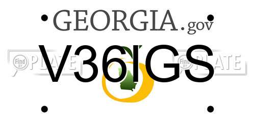 V36IGS Georgia License Plate