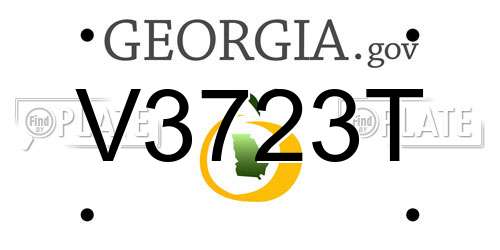 V3723T Georgia License Plate
