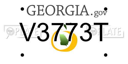 V3773T Georgia License Plate