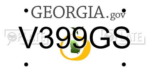 V399GS Georgia License Plate