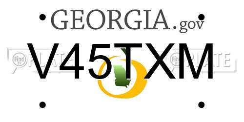 V45TXM Georgia License Plate