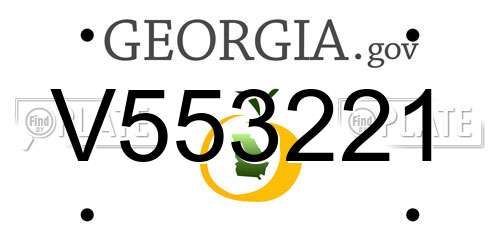 V553221 Georgia License Plate