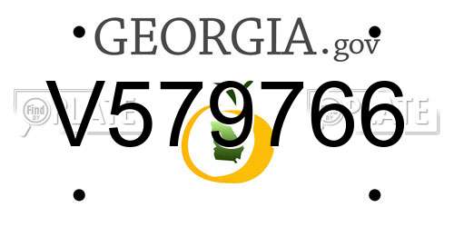 V579766 Georgia License Plate
