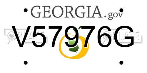 V57976G Georgia License Plate