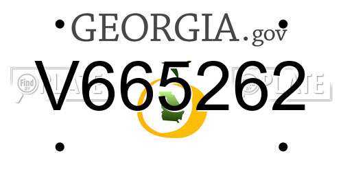 V665262 Georgia License Plate