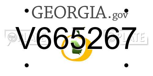 V665267 Georgia License Plate