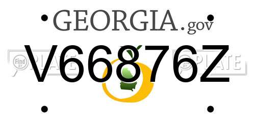 V66876Z Georgia License Plate