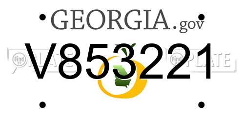 V853221 Georgia License Plate