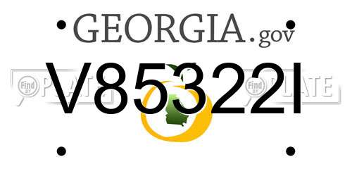 V85322I Georgia License Plate