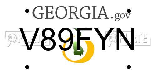 V89FYN Georgia License Plate