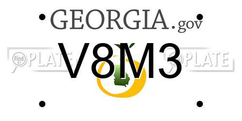 V8M3 Georgia License Plate