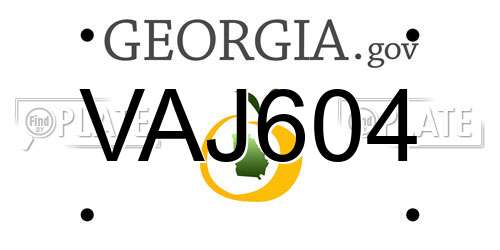 VAJ604 Georgia License Plate