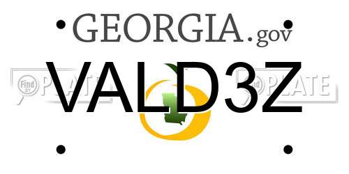 VALD3Z Georgia License Plate