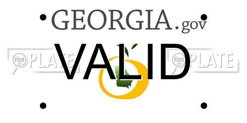 VALID Georgia License Plate