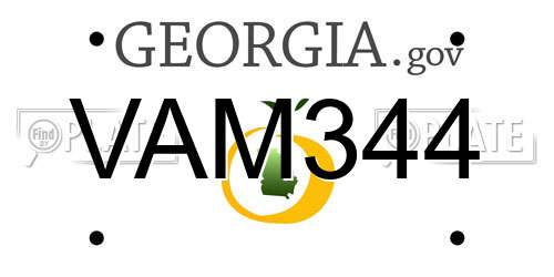 VAM344 Georgia License Plate