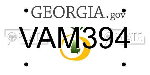 VAM394 Georgia License Plate