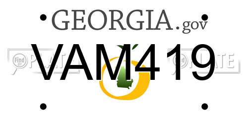 VAM419 Georgia License Plate
