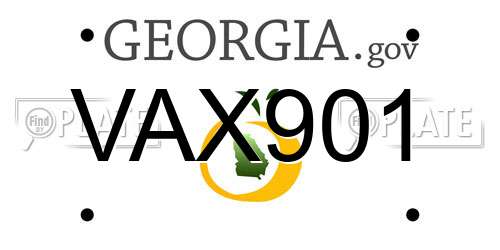 VAX901 Georgia License Plate