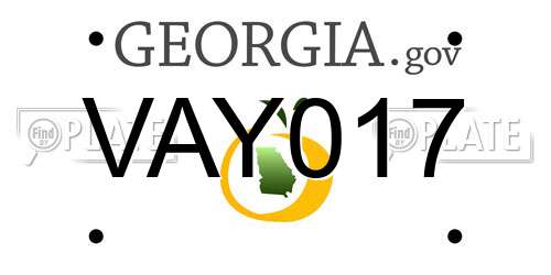 VAY017 Georgia License Plate