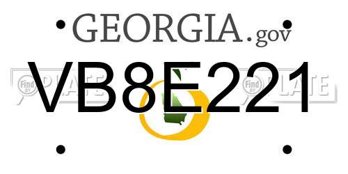 VB8E221 Georgia License Plate