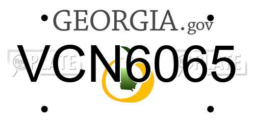 VCN6065 Georgia License Plate