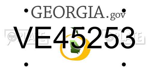 VE45253 Georgia License Plate