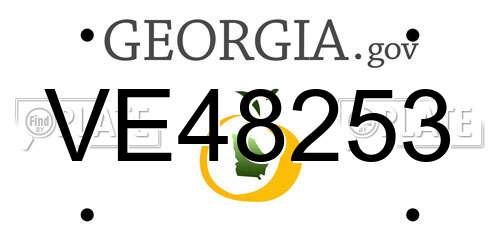VE48253 Georgia License Plate
