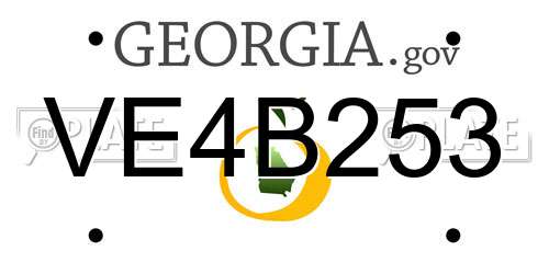 VE4B253 Georgia License Plate