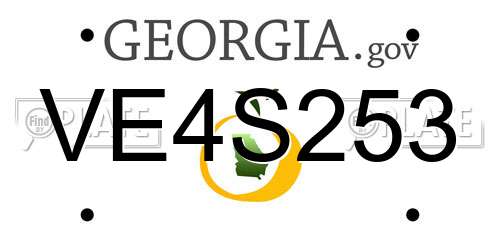 VE4S253 Georgia License Plate