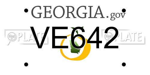 VE642 Georgia License Plate