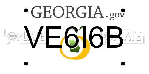 VE6I6B Georgia License Plate
