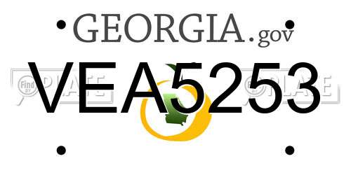 VEA5253 Georgia License Plate