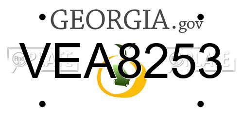 VEA8253 Georgia License Plate