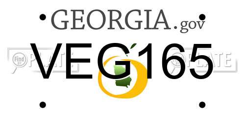 VEG165 Georgia License Plate