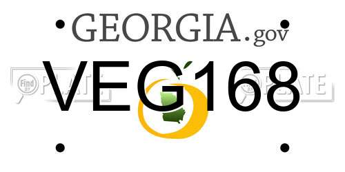 VEG168 Georgia License Plate