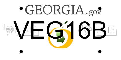 VEG16B Georgia License Plate