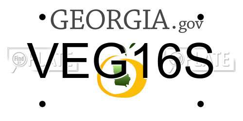 VEG16S Georgia License Plate