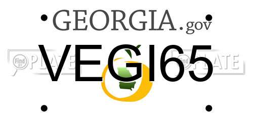 VEGI65 Georgia License Plate