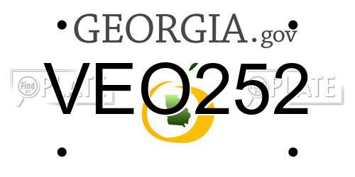 VEO252 Georgia License Plate