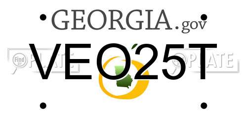 VEO25T Georgia License Plate