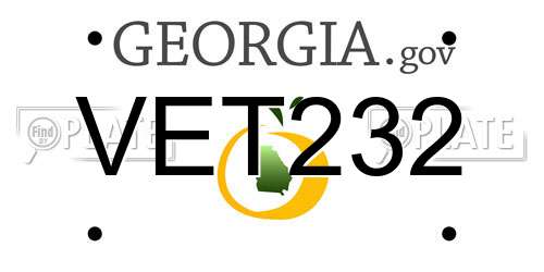 VET232 Georgia License Plate