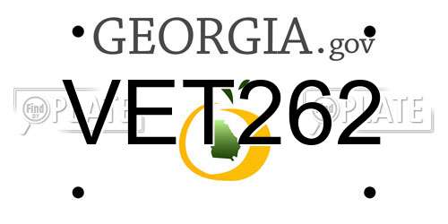 VET262 Georgia License Plate