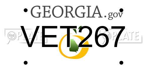 VET267 Georgia License Plate