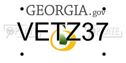 VETZ37 Georgia License Plate