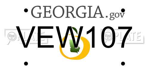 VEW107 Georgia License Plate