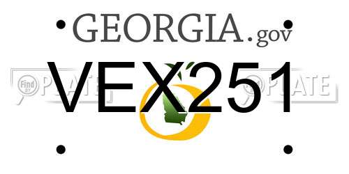 VEX251 Georgia License Plate