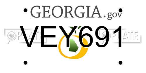 VEY691 Georgia License Plate