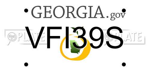 VFI39S Georgia License Plate